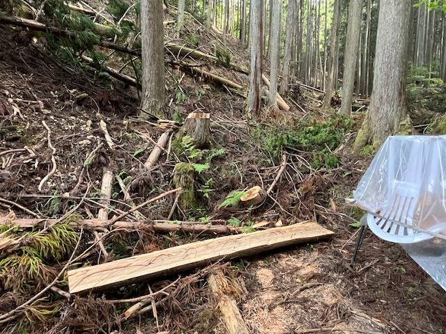 山に道を造る⁉